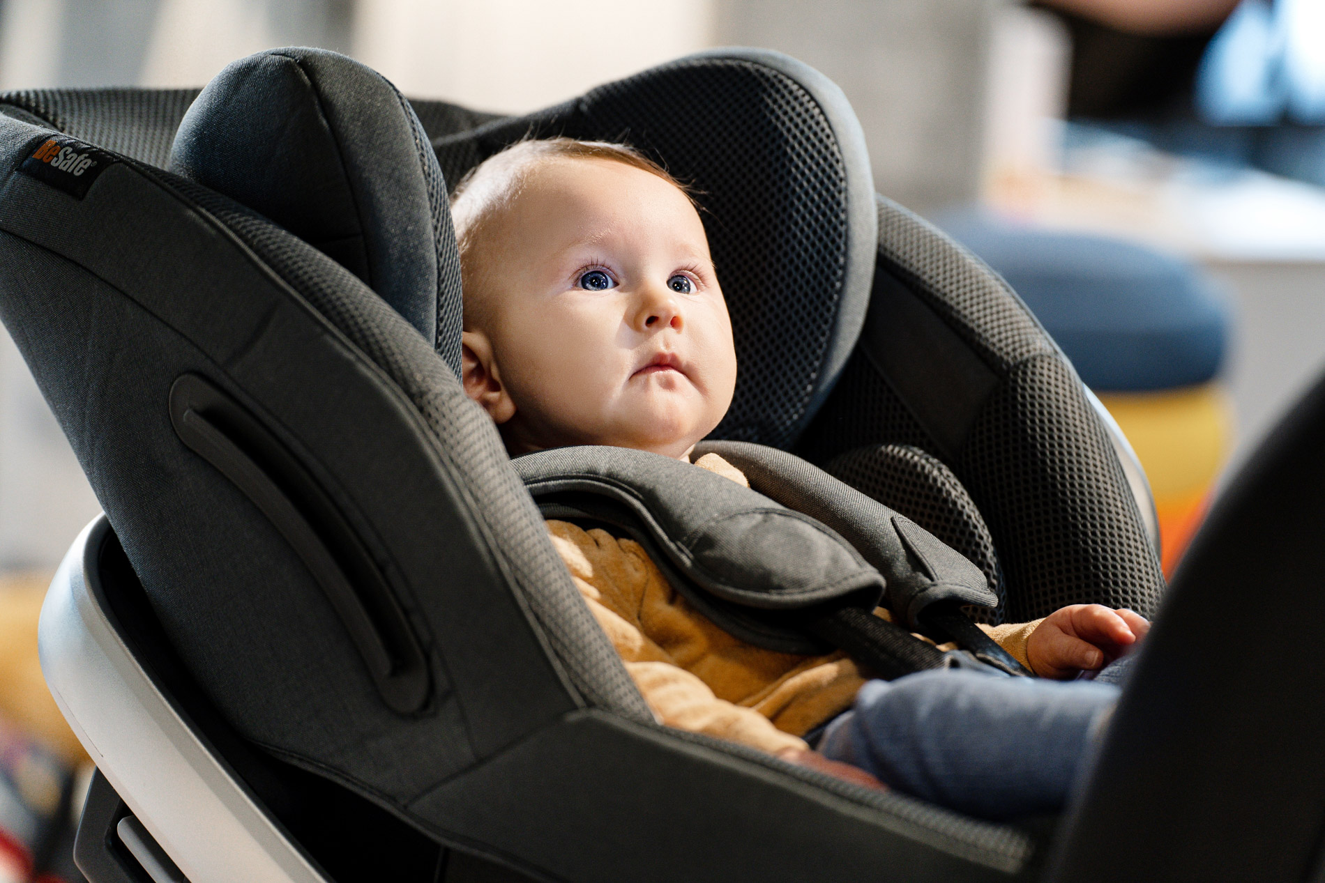 stade-werbe-agentur-fotograf-grafik-mitarbeiter-portrait-businessfotografie-unternehmen-hamburg-zwergperten-besafe-kindersitze-2
